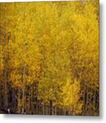 Aspen Fall 2 Metal Print