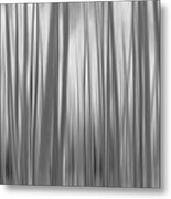 Aspen Trees Abstract Pano Bw Metal Print