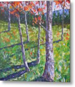 Aspen Trees Metal Print