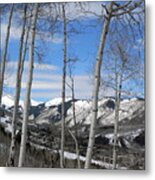 Aspen Trees In Snowmass Metal Print