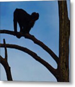 Assessing The Jump Metal Print