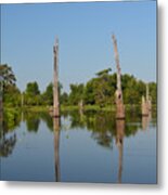 Atchafalaya Basin 19 Southern Louisiana Metal Print