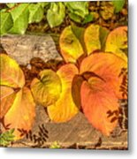 August Leaves Metal Print