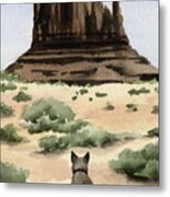 Australian Cattle Dog Metal Print