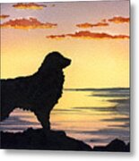 Australian Shepherd Sunset Metal Print