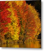 Autumn Afternoon At The Cove Metal Print