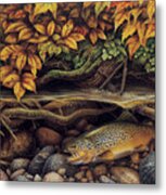 Autumn Brown Trout Metal Print