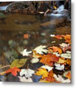 Autumn Cascade Metal Print