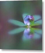 Autumn Clover Droplet Metal Print