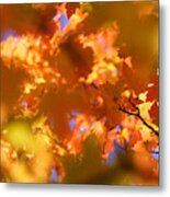 Autumn Colors And Leaves Metal Print