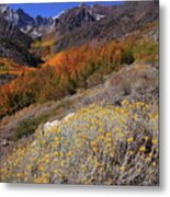 Autumn Colors At Mcgee Creek Canyon In The Eastern Sierras Metal Print