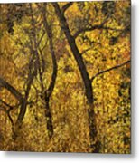 Autumn Cottonwood Thicket Metal Print