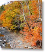 Autumn Creek 2 Metal Print