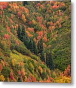 Autumn Metal Print