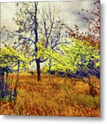 Autumn Fall Colors - Shrubs, Ferns, And Stormy Skies Ap Metal Print