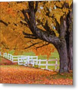 Autumn Farm Tree Metal Print
