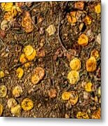 Autumn Floor Metal Print