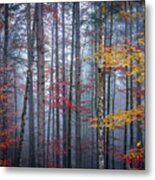 Autumn Forest In Fog Metal Print