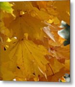 Autumn Gold Metal Print