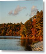 Autumn Highlights Metal Print