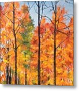 Autumn In South Wales Ny Metal Print