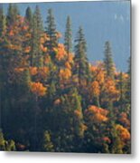 Autumn In The Feather River Canyon Metal Print