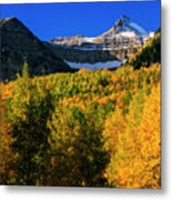 Autumn In The Wasatch Metal Print
