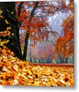 Autumn In The Woodland Metal Print