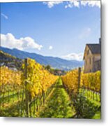 Autumn Landscape In South Tyrol In Italy Metal Print
