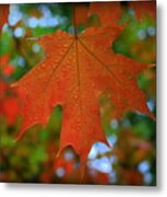 Autumn Leaf In The Rain Metal Print