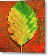 Autumn Leaf Three Metal Print