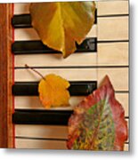 Autumn Leaf Trio On Piano Metal Print