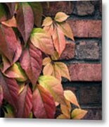 Autumn Leaves Against Brick Wall Metal Print