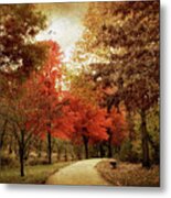 Autumn Maples Metal Print