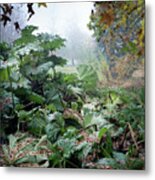 Autumn Mist, Great Dixter Garden Metal Print