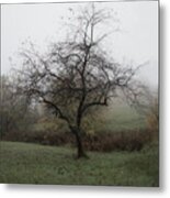 Autumn Mist Metal Print