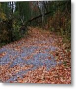Autumn Path Metal Print