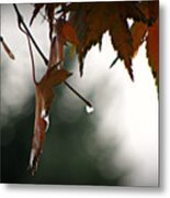 Autumn Raindrops Metal Print