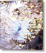 Autumn Reflections Metal Print