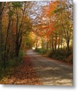 Autumn Road Metal Print