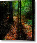 Autumn Shadows On The Lock And Dam Trail Metal Print