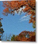 Autumn Sky Metal Print