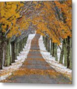 Autumn Snowfall Country Road Metal Print