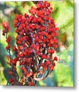 Autumn Sumac Fruit - Digital Paint Metal Print