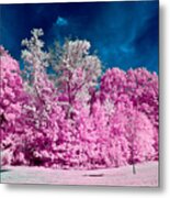 Autumn Trees In Infrared Metal Print