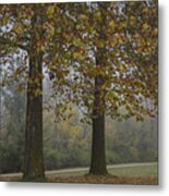 Autumn Trees With Fog Metal Print