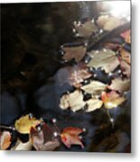 Autumn With Leaves On Water Metal Print