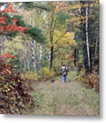 Autumn Woods Walk Metal Print