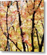 Autumnal Impressions Metal Print