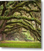 Avenue Of Oaks - Charleston Sc Plantation Live Oak Trees Forest Landscape Metal Print